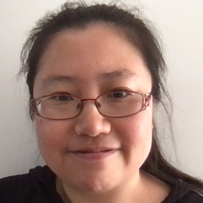 Hong Li, DFKI, senior researcher and developer